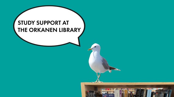 Study support at Orkanen Library